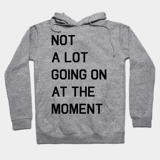 NOT A LOT GOING ON AT THE MOMENT Hoodie by fandemonium